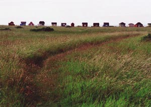 Beach Huts