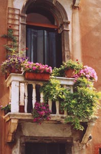 Balcony in Bloom