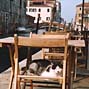 Under the Venetian Sun