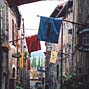 Neighborhood Flags