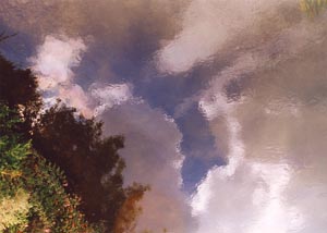 River Reflection