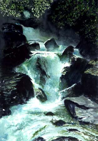 DeceptionFalls