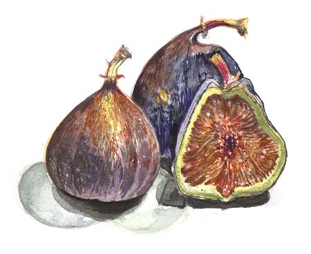3Figs