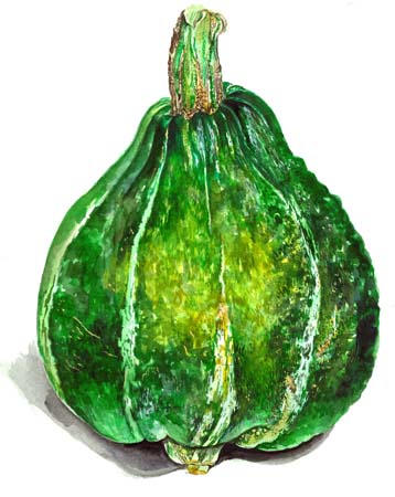3Hubbard Squash