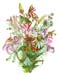 2Pink Lillies Honey Daisy