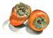3Persimmons