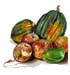 3Squash, Apples, Gre#10045