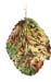 4Brown Leaf