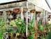 5Blooming Houseboat