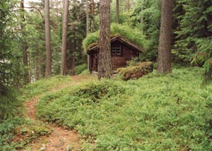 The Way Home