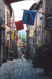 Neighborhood Flags