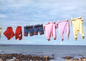 Bloomers in the Breeze