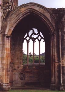 Tracery of the Past