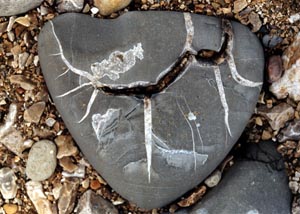 Beach Runes