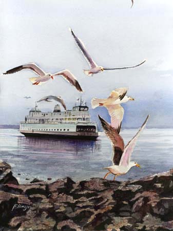 FerryChasers