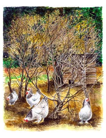 1Chickens in the Meadow