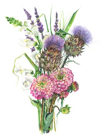 2Thistle