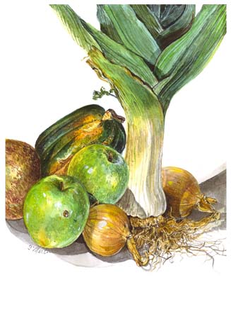 3Leek, Apples, Squash