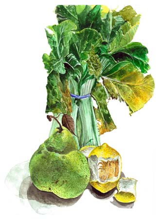 3Pear, Lemon & Bokchoi