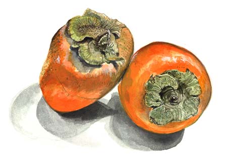 3Persimmons